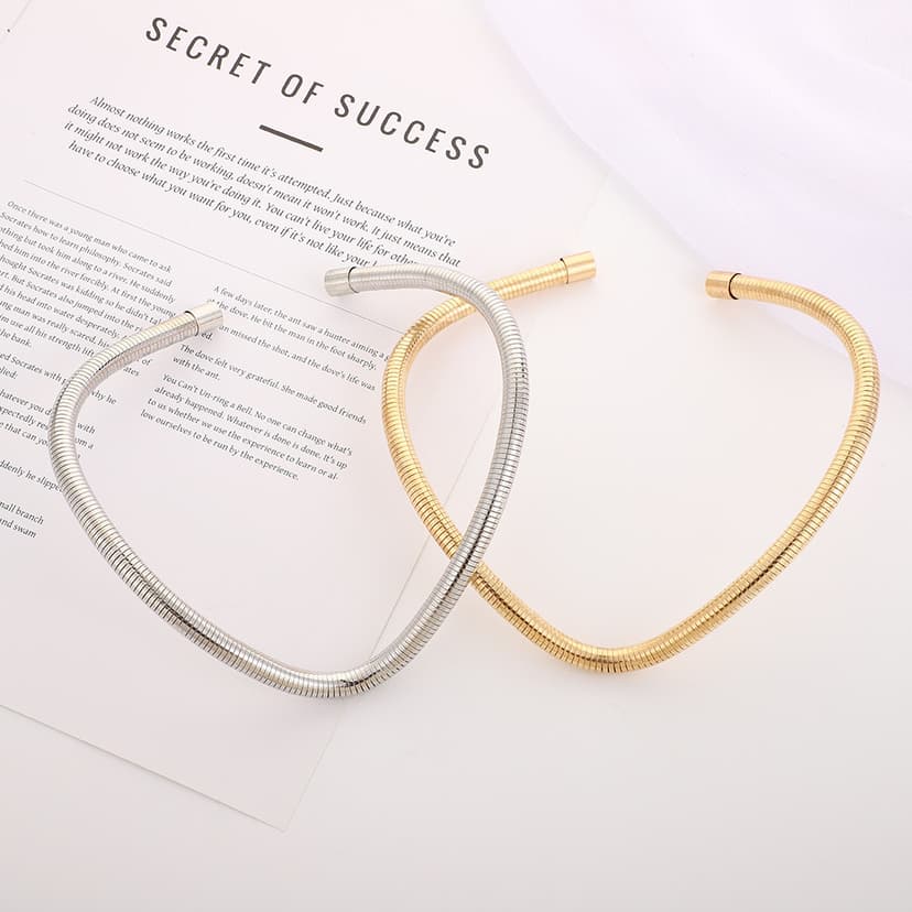 European and American Cross-Border New Style Personalized Retro Snake Bone Chain Fashion Spring Choker Trendy Retractable Necklace for Women