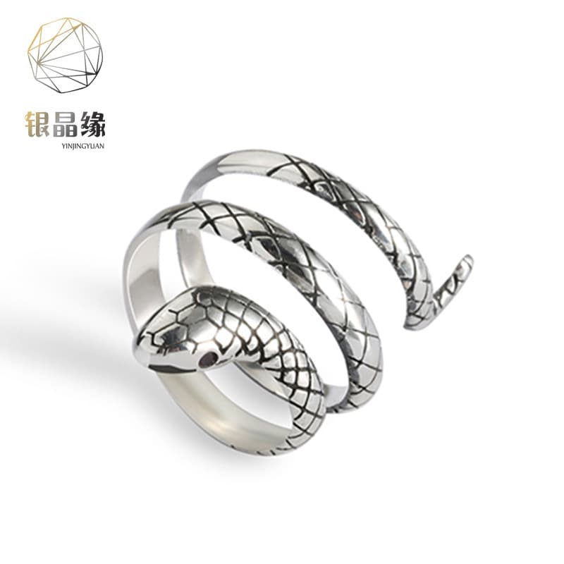 European and American Style Retro Snake Ring Women's Fashionable Personalized ins Trendy Internet Celebrity Cold Style Mori Style Small Snake Winding Ring