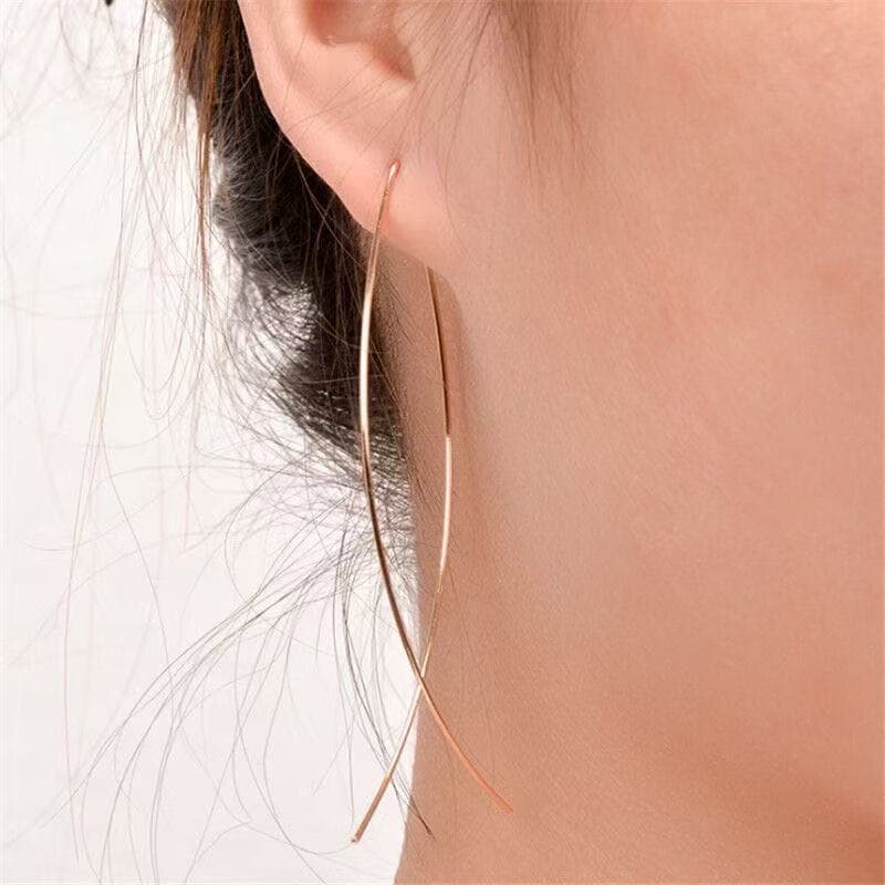 Cross-Border New Hot-Selling Earrings European and American Fashion Stylish Simple Copper Fish-Shaped Earrings Design Versatile Earrings
